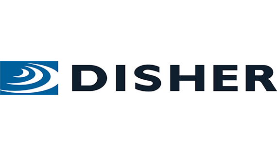Alaska Microsoft Disher Consultant