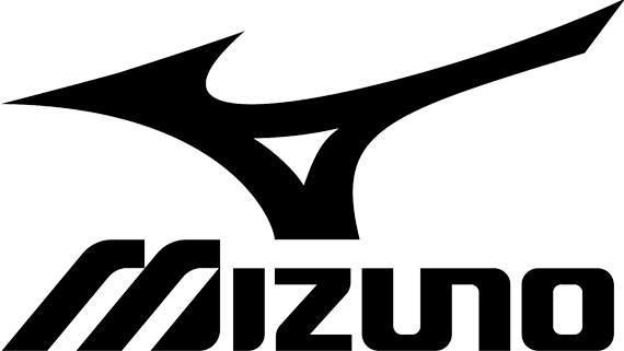 Arizona Microsoft Mizuno Consultant