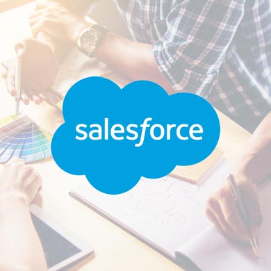 Michigan Salesforce CRM Developers