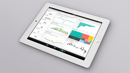 Microsoft BI Web Application