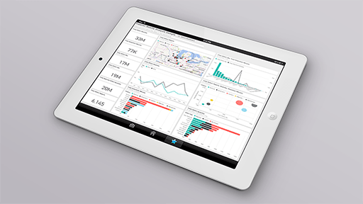 Microsoft Web Data BI Application