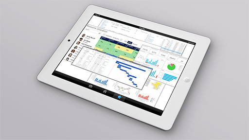 Microsoft Web Data CRM Custom Application